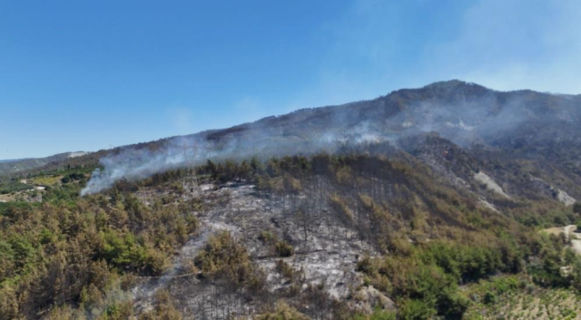 3 şehrimizde orman yangınları tamamen kontrol altına alındı