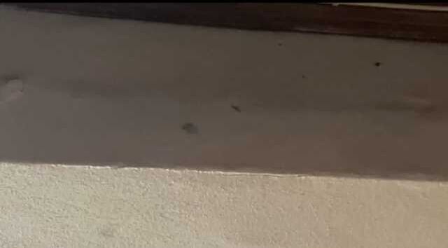 Savaşa girer gibi satır ve pompalı tüfeklerle kıraathaneye saldırdılar: 4 yaralı