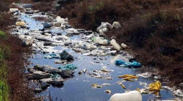 Prof. Dr. Mustafa Sarı, Marmara Denizi'ndeki kirlilik ve müsilaj için uyardı: 50 yılda 19 balık türü kayboldu