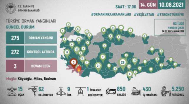 Bodrum'daki yangın tamamen kontrol altına alındı