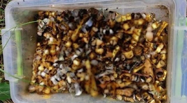 Bu resmen savaş suçu! Rusların kullandığı işkence odalarında cinsel ilişki oyuncukları bulundu