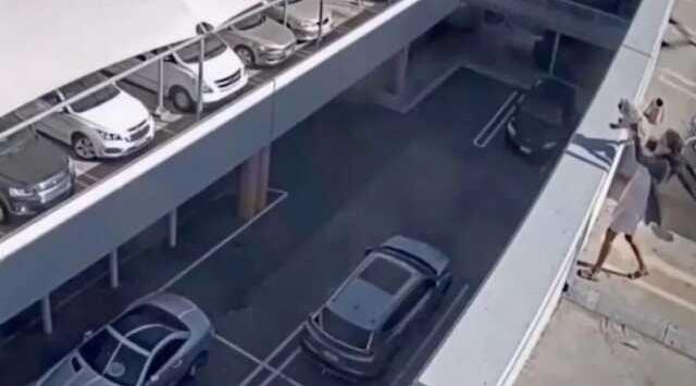 Köpeğini bir alışveriş merkezinin çatısından atıp öldürdü. Köpeğin iyiliği için yaptığını söyleyerek kendini savundu