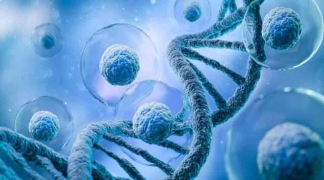 En sık görülen kanser türleri nelerdir? Dünyada en çok ölüme neden olan kanser türü hangileri?