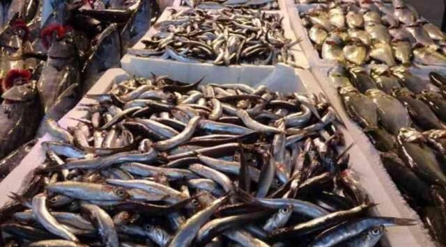 Dip balığı mı yüzey balığı mı? Hangisi daha sağlıklı?