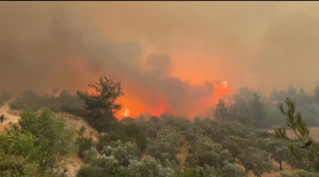 Türkiye alevlere teslim! 10 şehit verdiğimiz ilde hendek kazılmaya başlandı
