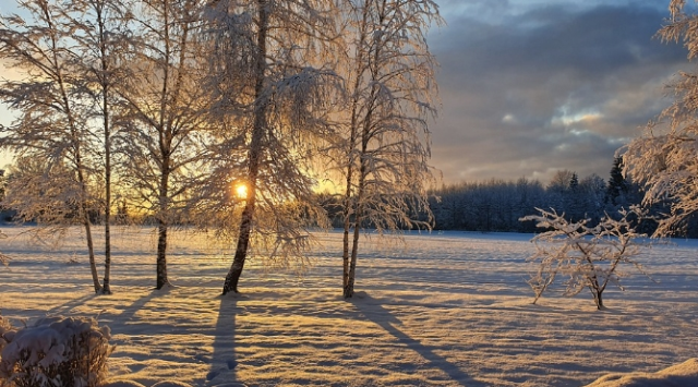 Ankara okullar tatil mi? 31 Aralık Çarşamba Ankara'da okul yok mu (KAR TATİLİ – ANKARA VALİLİĞİ)?