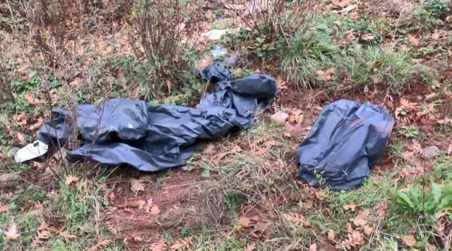 İstanbul'da ürküten görüntü! Ormanlık alanda kestikleri atların etlerini alıp götürdüler