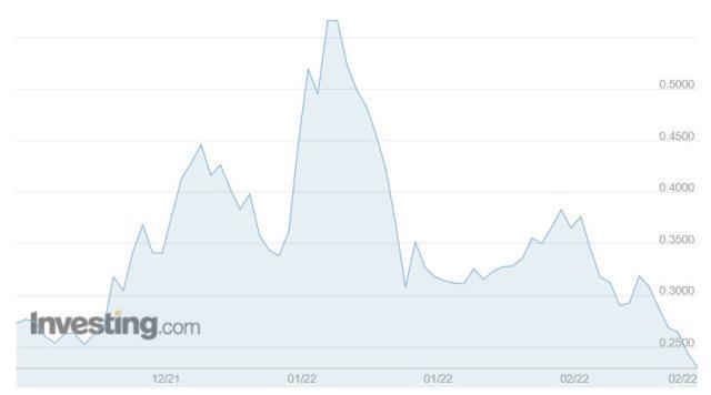 ROSE Coin yorum ve geleceği! ROSE Coin nedir?