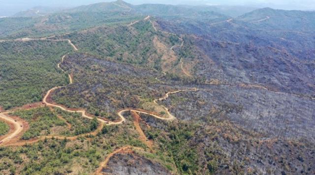 Günler sonra kontrol altına alınan Marmaris yangınında emniyet şeridi etkili oldu