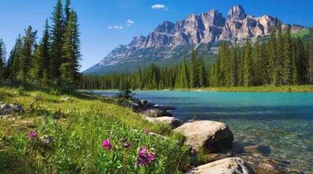 Rüyada nehir görmek ne anlama geliyor? Rüyada nehirden yüzmek, nehirden geçmek, su İçmek ne demek?