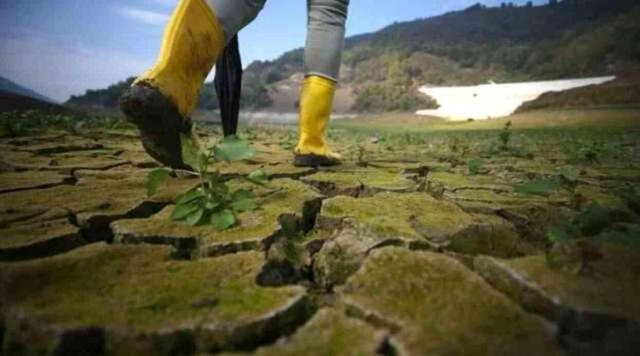 İklim değişikliği ilerleme durumu nedir? Google'da 'Dünya Günü' doodle oldu! 22 Nisan Dünya Günü nedir, neden kutlanır? 22 Nisan ne oldu?