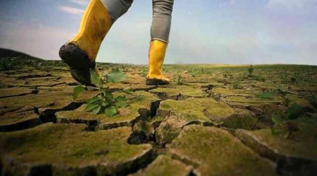 İklim krizi nedir? İklim değişikliğinin neden olduğu sorunlar neler?