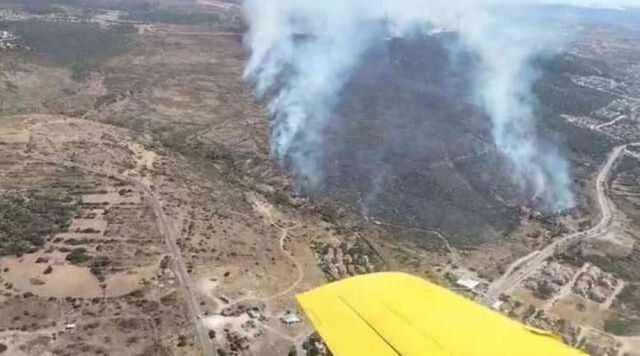 Çeşme'de attığı izmaritle orman yangınına neden olan kişi tutuklandı