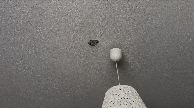 Ağabeyini evden çıkarmak için hiltiyle tavanı deldi, savaş çıktı zannettiler