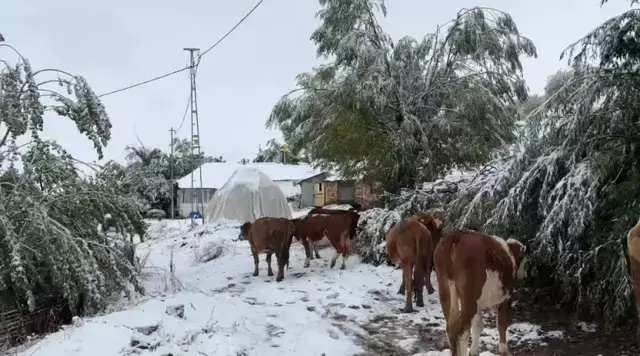 3 il beyaza büründü! Kar kalınlığı 26 santimetre