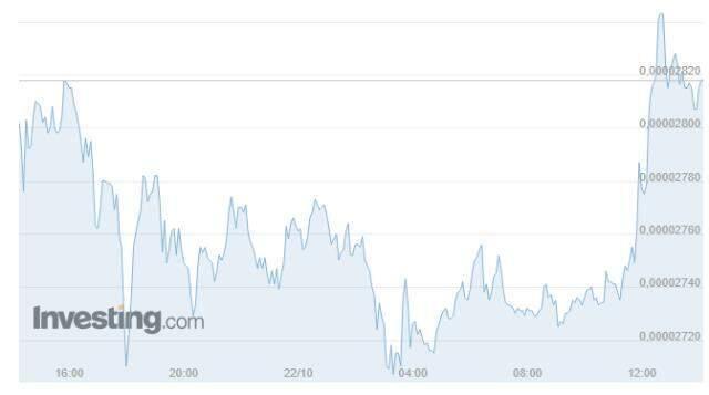 Shiba Coin (SHIB INU) nedir? Shiba Coin yorum ve grafik! Shiba Coin kaç TL, Shiba Coin ne kadar? Shiba Coin geleceği!