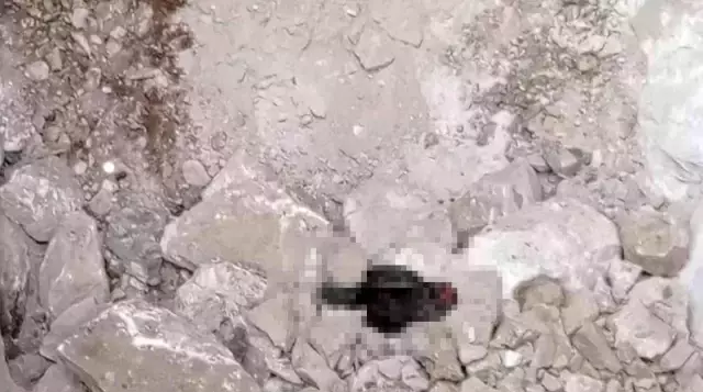 Definecilerin kazı yaptığı çukura inen ekipler dehşete düştü: Siyah tavuğu kesip, kanını akıtmışlar