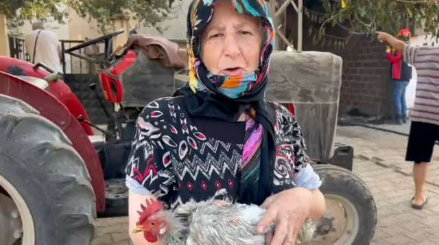 Alevlere teslim olan köyden yürek yakan manzara! Bir kimliği, bir de telefonu kaldı