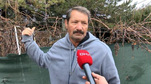 Türkiye'nin göbeğinde aslan paniği! Kafesinden kaçtı, mahalleli korkudan küçük dilini yuttu