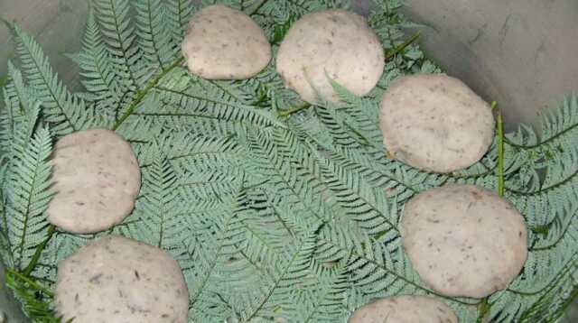 Dünyanın en iyi ve en kötü yemekleri seçildi! Bakın Türk yemekleri kaçıncı sırada yer aldı