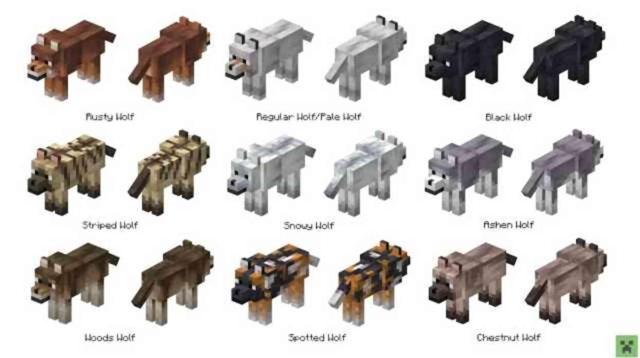 Minecraft'a yeni güncelleme ile 8 farklı kurt türü ekleniyor