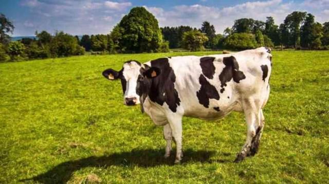 Kurban Bayramı ve Babalar Günü mesajları 2024! En yeni, anlamlı ve ayetli Kurban Bayramı sözleri neler? Kısa ve duygusal Babalar Günü sözleri!