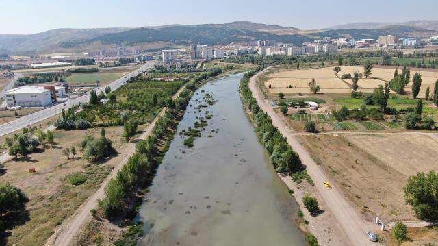 Son dakika haberleri... Irmaktan su yerine adeta ölü balık akıyor