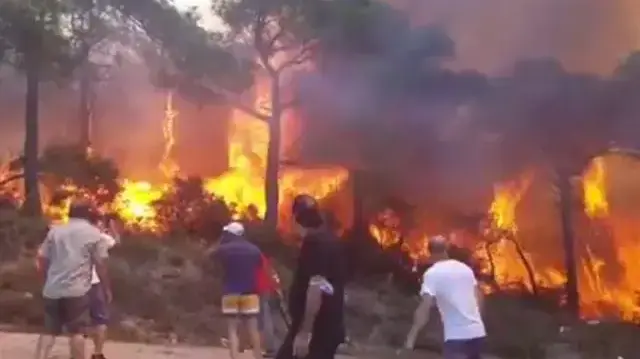 Son Dakika! Heybeliada'daki orman yangını kontrol altına alındı