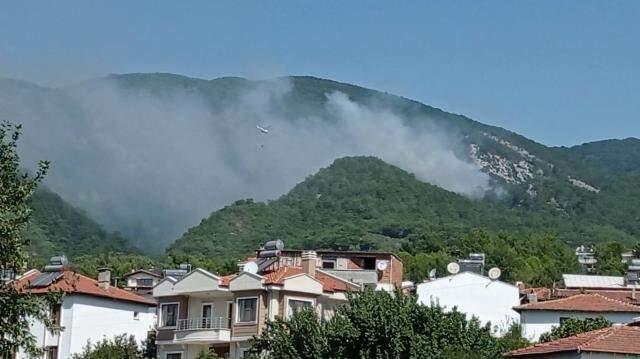 Son Dakika: Kazdağları'nda orman yangını! Edremit'teki yangına havadan ve karadan müdahale sürüyor