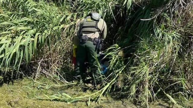 Dünya bu görüntüleri konuşuyor! ABD'ye geçmeye çalışan Meksikalı mülteciler arı sürüsünün saldırısına maruz kaldı