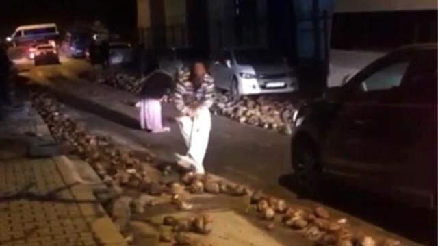 Yol şeker pancarı ile kaplandı, sürücüler ilerlemekte güçlük çekti