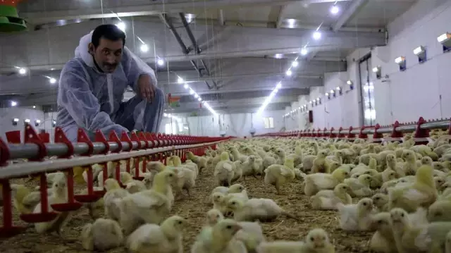 Şehir hayatından sıkıldı, devletten aldığı destek ile köye dönüp çiftlik kurdu