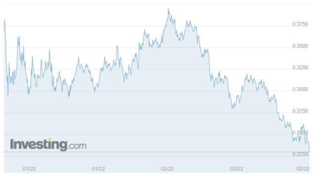 ROSE Coin yorum ve geleceği! ROSE Coin nedir?