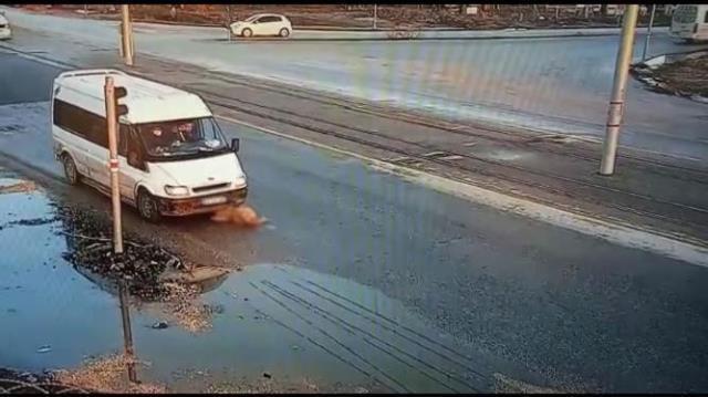 Minibüsün altında kalan köpeğe akılalmaz muamele! Barınak çalışanı açığa alındı