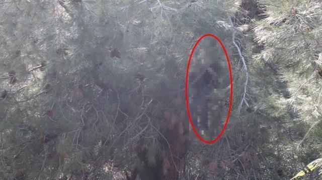 Bıraktığı not ve cansız bedeni aynı anda bulundu