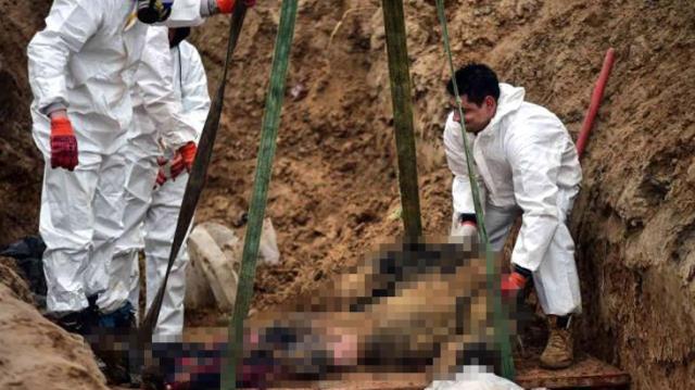 Buça'daki katliam tüm dünyayı sarmıştı! Şimdi de toplu mezardan çok sayıda ceset çıkarıldı