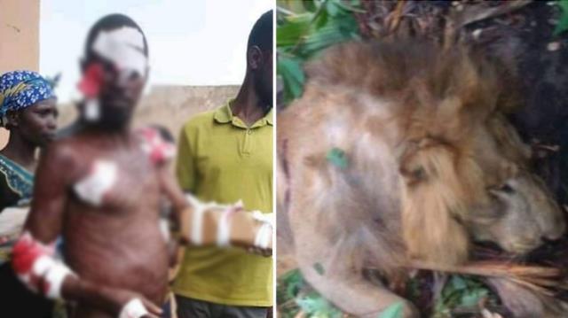Tüm köylü bu olayı kulaktan kulağa dillendiriyor! Ormanın içinde aslan ve insanın yaşadıkları hadise korkunç