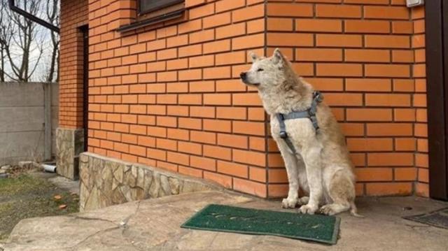 Ukrayna'dan korkunç iddia: Çeçen askerler günlerce tecavüz ettikleri genç kadını boğazını keserek öldürdü