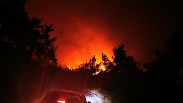 Marmaris'te orman yangını! Rüzgarın etkisiyle alevler kısa sürede yayıldı