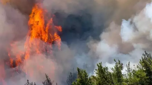 Son Dakika! Marmaris'te 5 gündür devam eden orman yangını tamamen kontrol altına alındı