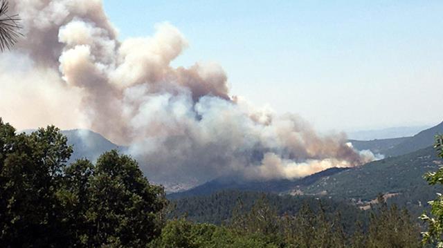 Balıkesir'deki yangınla ilgili yetkililer tek ihtimal üzerinde duruyor: Enerji nakil hatlarından kaynaklı olabilir