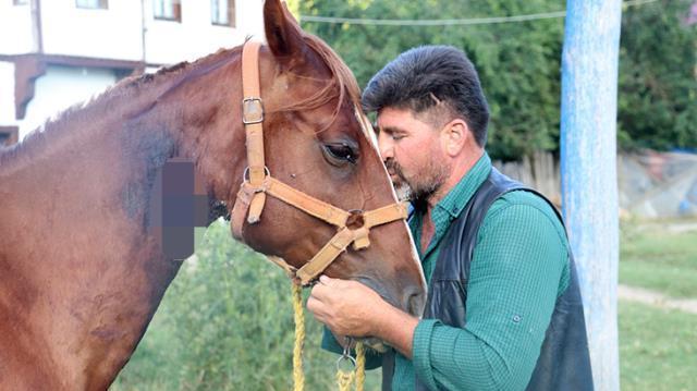 Boynu kesilen atın damarına hortum sokup hayatta tuttu