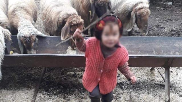 Müslüme'nin ölümüyle ilgili bilirkişi raporu ortaya çıktı: İstismara uğradıktan sonra öldürüldü