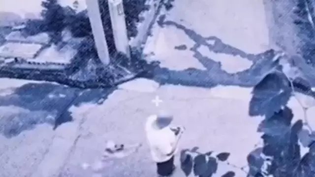 Olacakları önceden fark eden köpek, telefonla oynayan sahibini böyle kurtardı