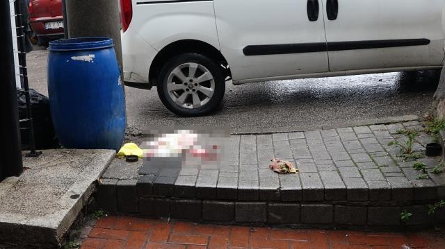 'Yeğenimi neden benim istediğim gence vermiyorsun?' diyen amca, çıkan kavgada canından oldu