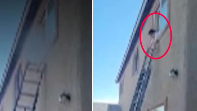 Bir apartmanın 4 numaralı dairesinde olanlar herkesi ürküttü! Polisin bile öğrenince ağzı açık kaldı