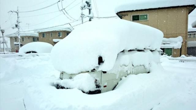 Japonya'da etkili olan şiddetli kar yağışında bilanço ağırlaşıyor: 17 ölü, 90 yaralı