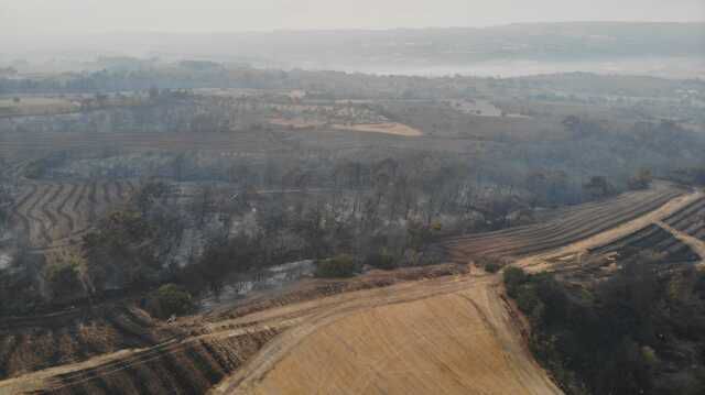 Çanakkale'de yangının boyutu gün ağarınca ortaya çıktı