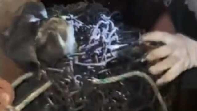 İskenderun Körfezi'nde demirleyen Liberya bandıralı gemide 51 kg uyuşturucu madde ele geçirildi