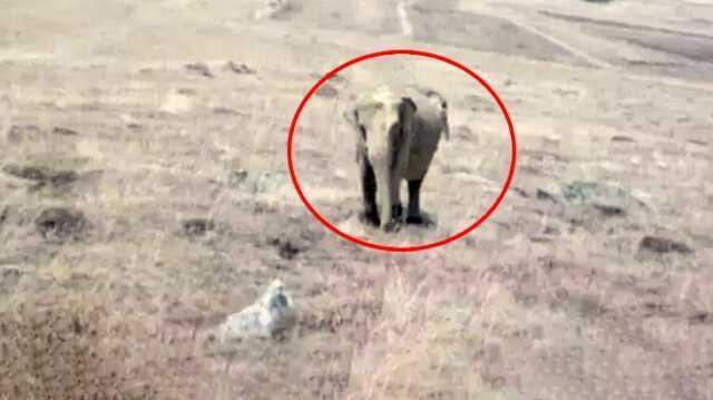 Ardahan'da filin görüldüğü iddia edilen köyün muhtarı konuştu